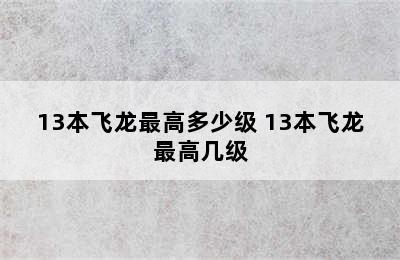 13本飞龙最高多少级 13本飞龙最高几级